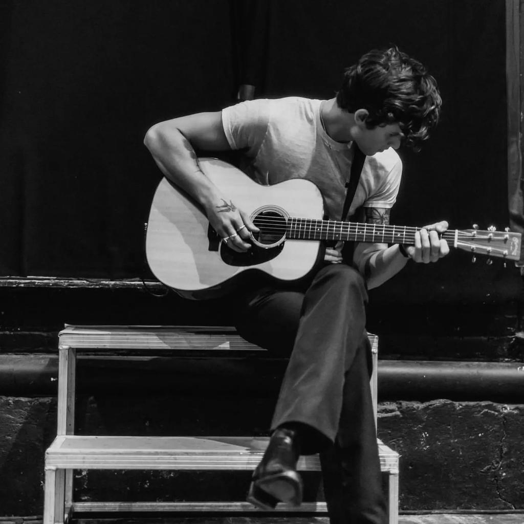 guitar