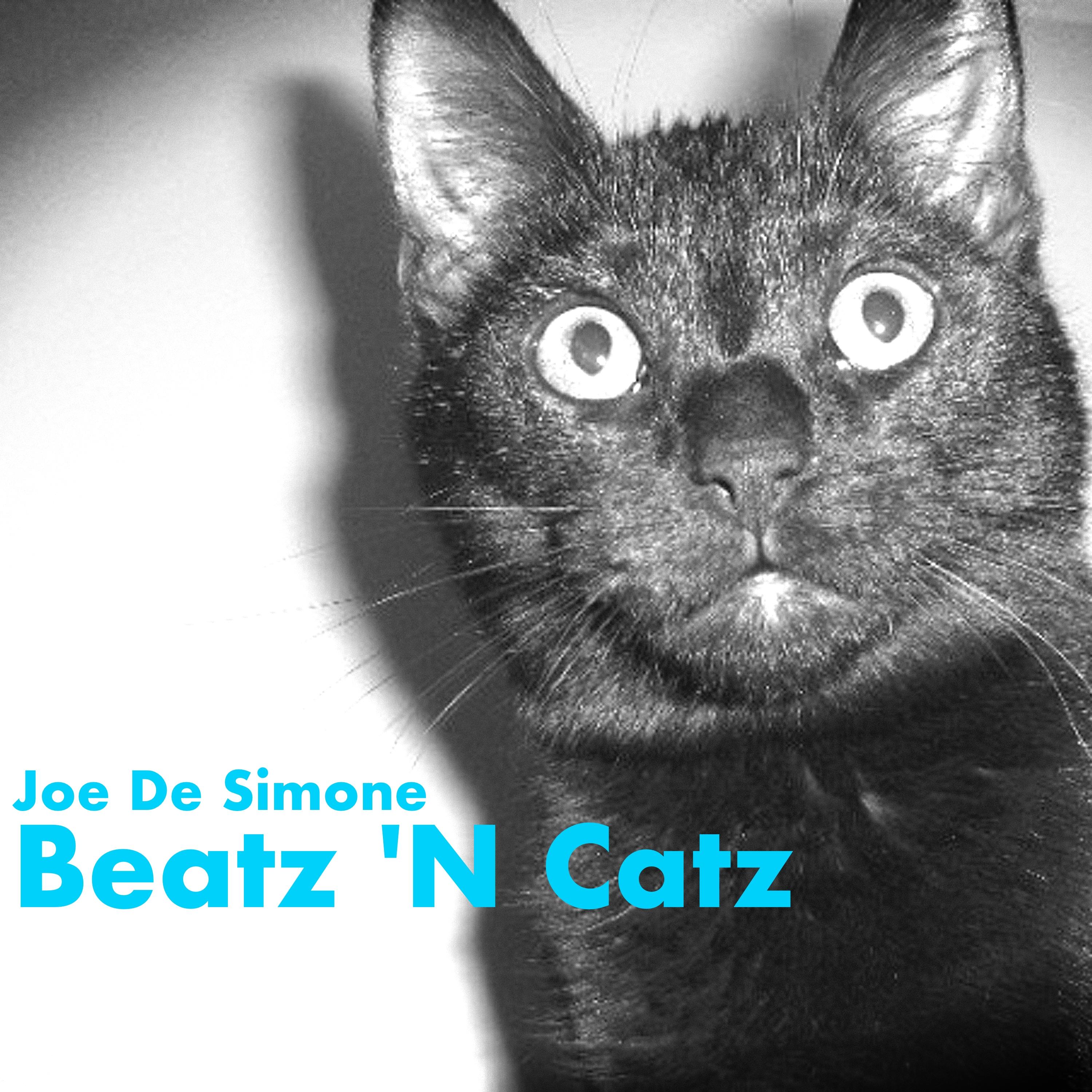 Beatz 'N Catz