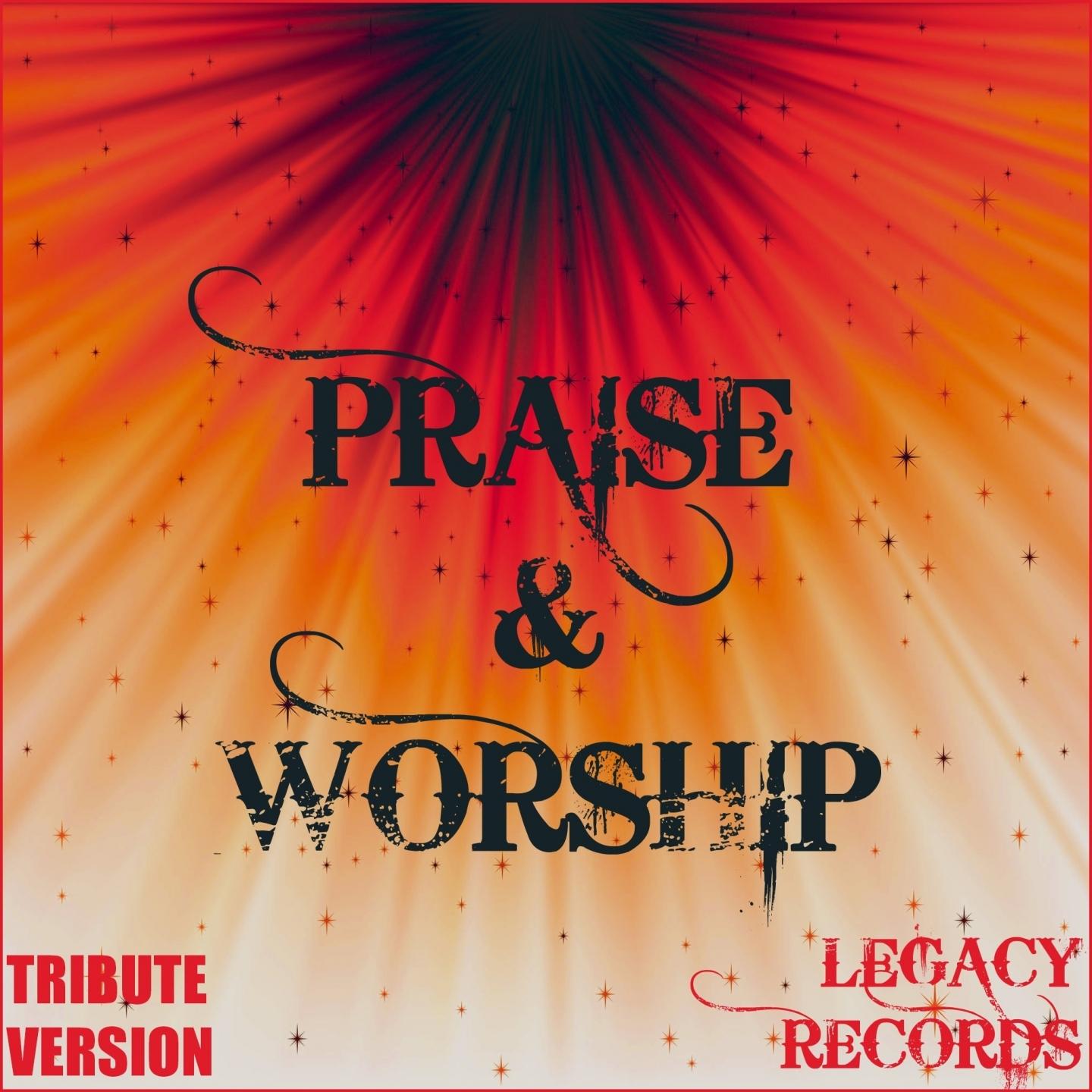 Praise and Worship, Vol. 2