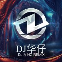 勇气（DJ华仔remix）