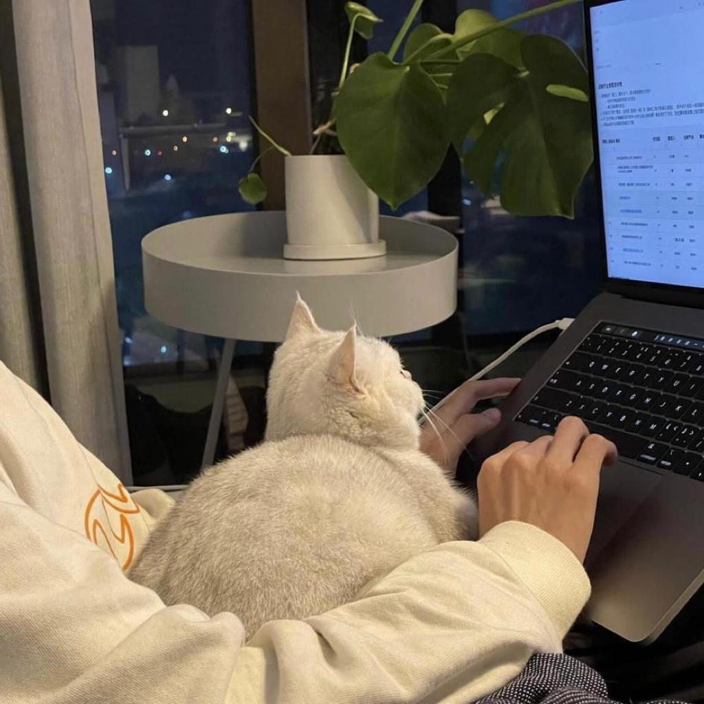 蓝心羽/IU/啊YueYue/任然/房东的猫