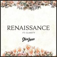 Renaissance - Steve James & Clarity (unofficial Instrumental) 无和声伴奏