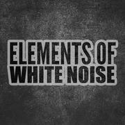 Elements of White Noise