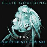 Burn (Robot Dentist Remix)专辑