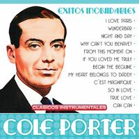 True Love - Cole Porter (karaoke)