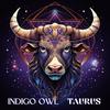 Indigo Owl - Taurus