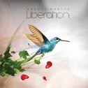 Liberation专辑