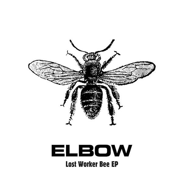 Lost Worker Bee专辑