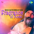 Fragrance Of Rose