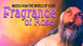 Fragrance Of Rose专辑