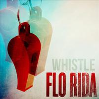 Flo Rida&Trina-Party Like A Dj  立体声伴奏