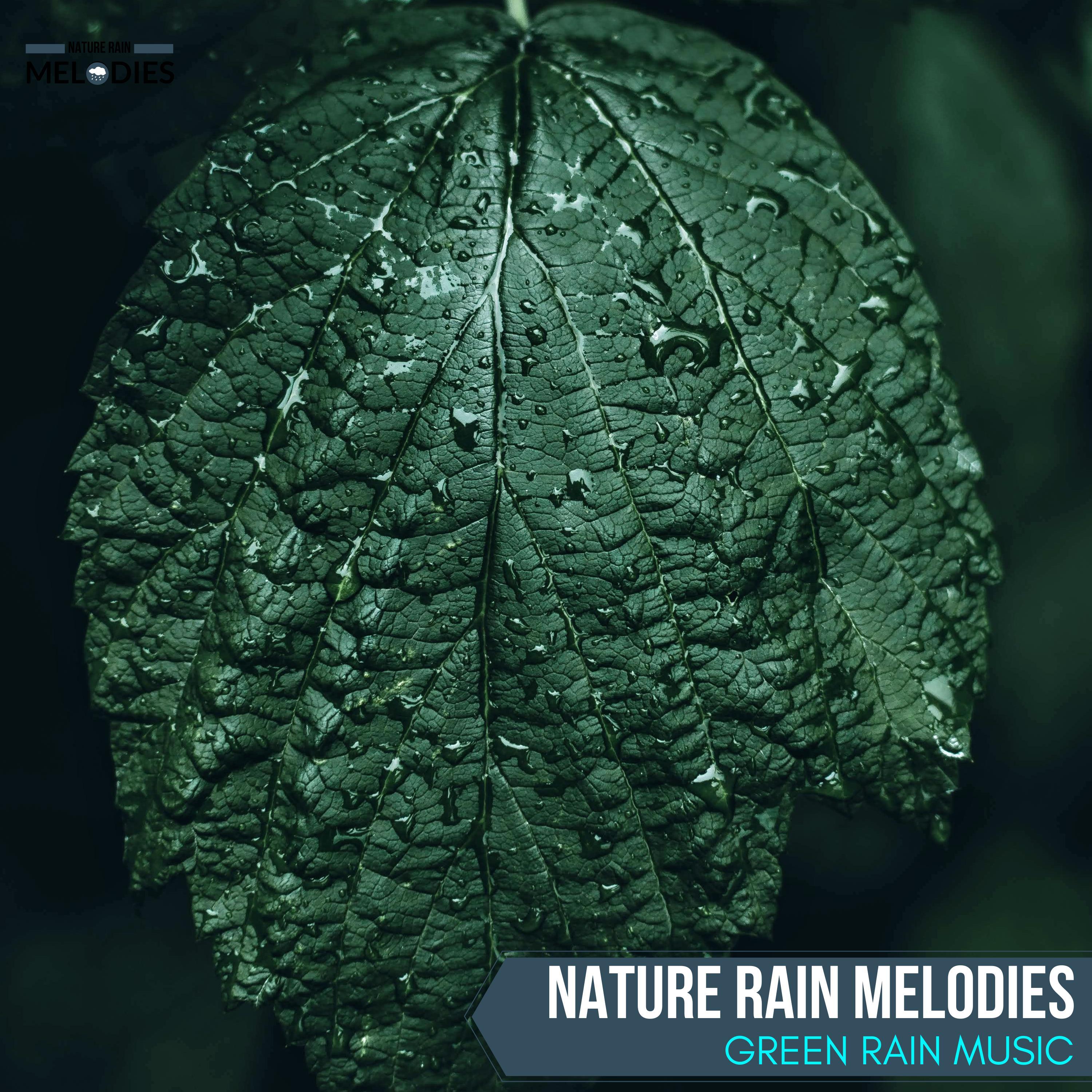 Tender Rain Melodies Healing Project - Metallic Light Rain