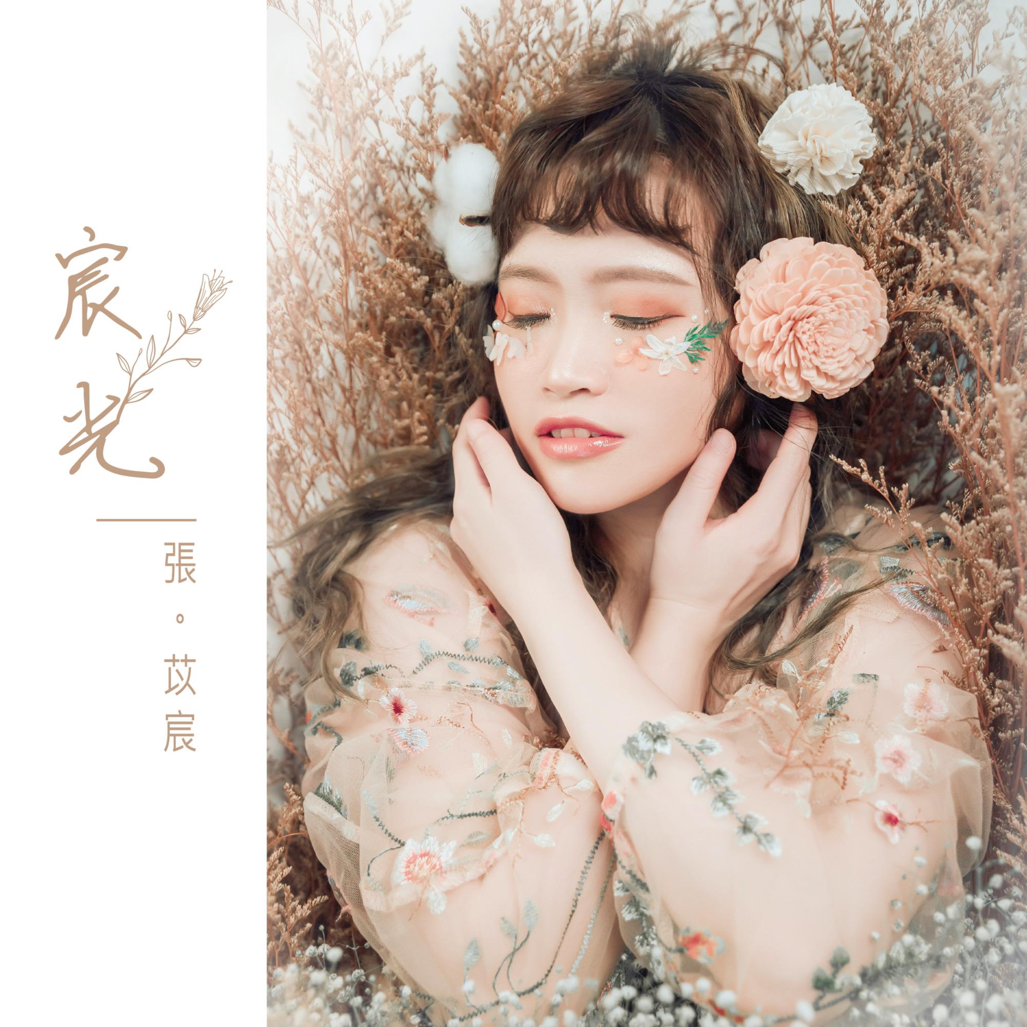 宸光
