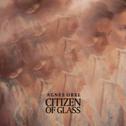 Citizen of Glass专辑