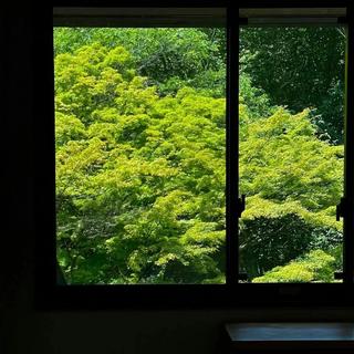 青山不系舟 —山色青绿 无拘无束