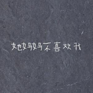 王矜霖 - 她妈妈不喜欢我(中国好歌曲新版) （升7半音）
