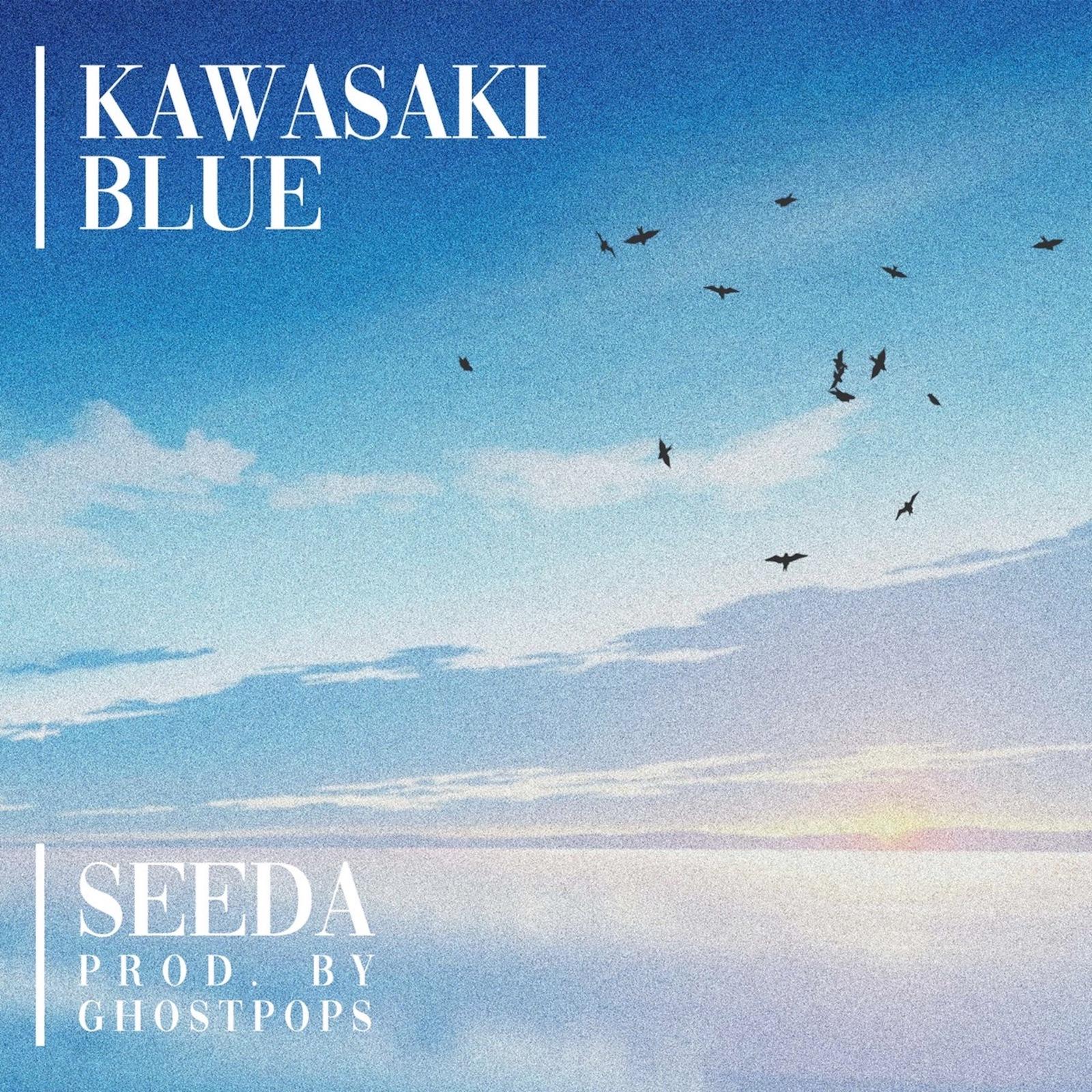 Kawasaki Blue