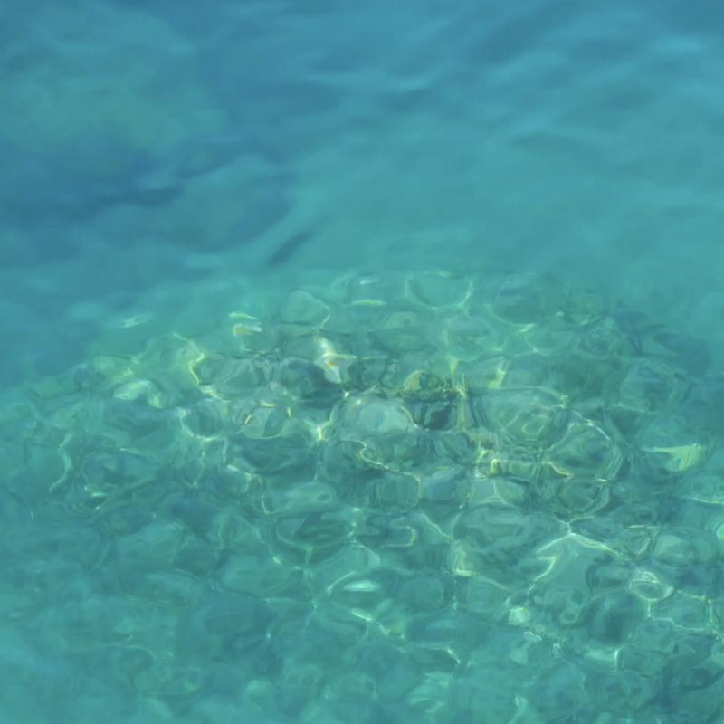 助眠海浪声 | 海风轻拂 吹走疲惫zZ