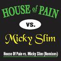 House Of Pain vs. Micky Slim(Remixes)专辑