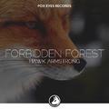 Forbidden Forest