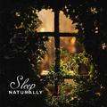 Sleep Naturally – 15 Sleepy Melodies to Bed for Deep and Healthy Sleep, Delicate and Subtle Music fo