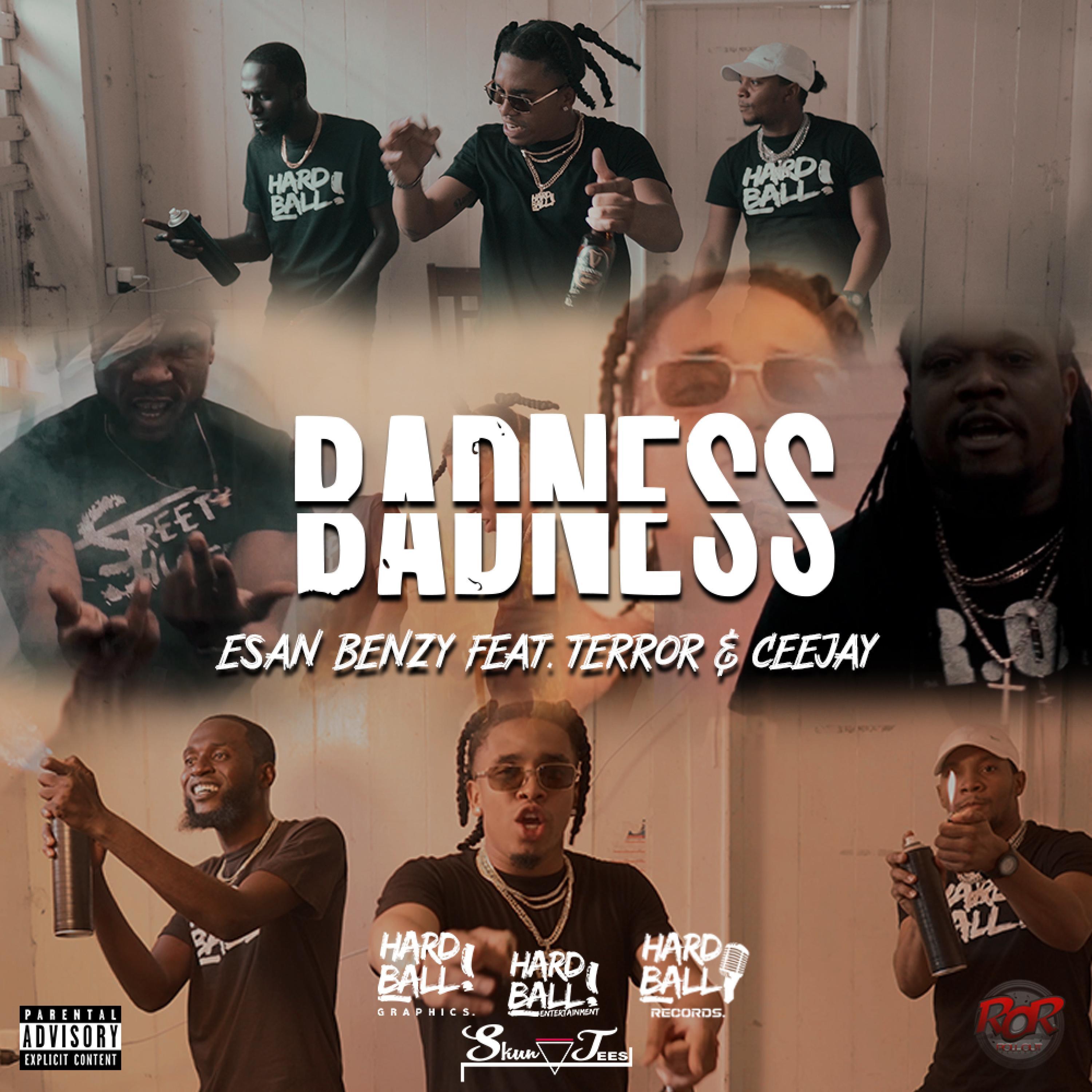 Badness (feat. Ceejay & Terror)