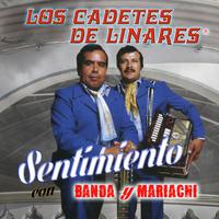 原版伴奏   Una Lagrima Y Un Recuerdo - Los Cadetes De Linares ( Karaoke ) [无和声]