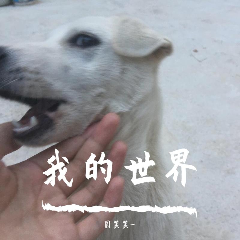 全是爱