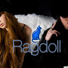 Ragdoll