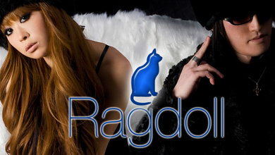 Ragdoll