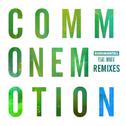 Common Emotion (Remixes)专辑