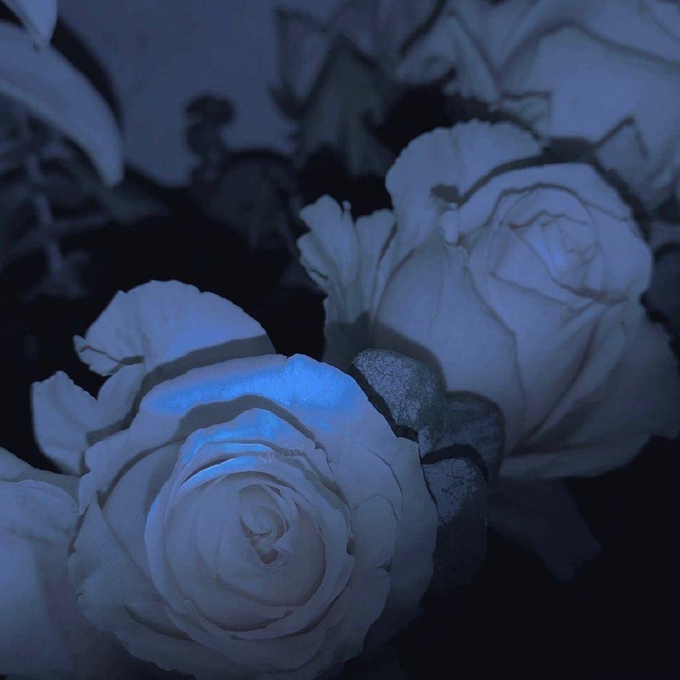 「自用」写文&写作业。