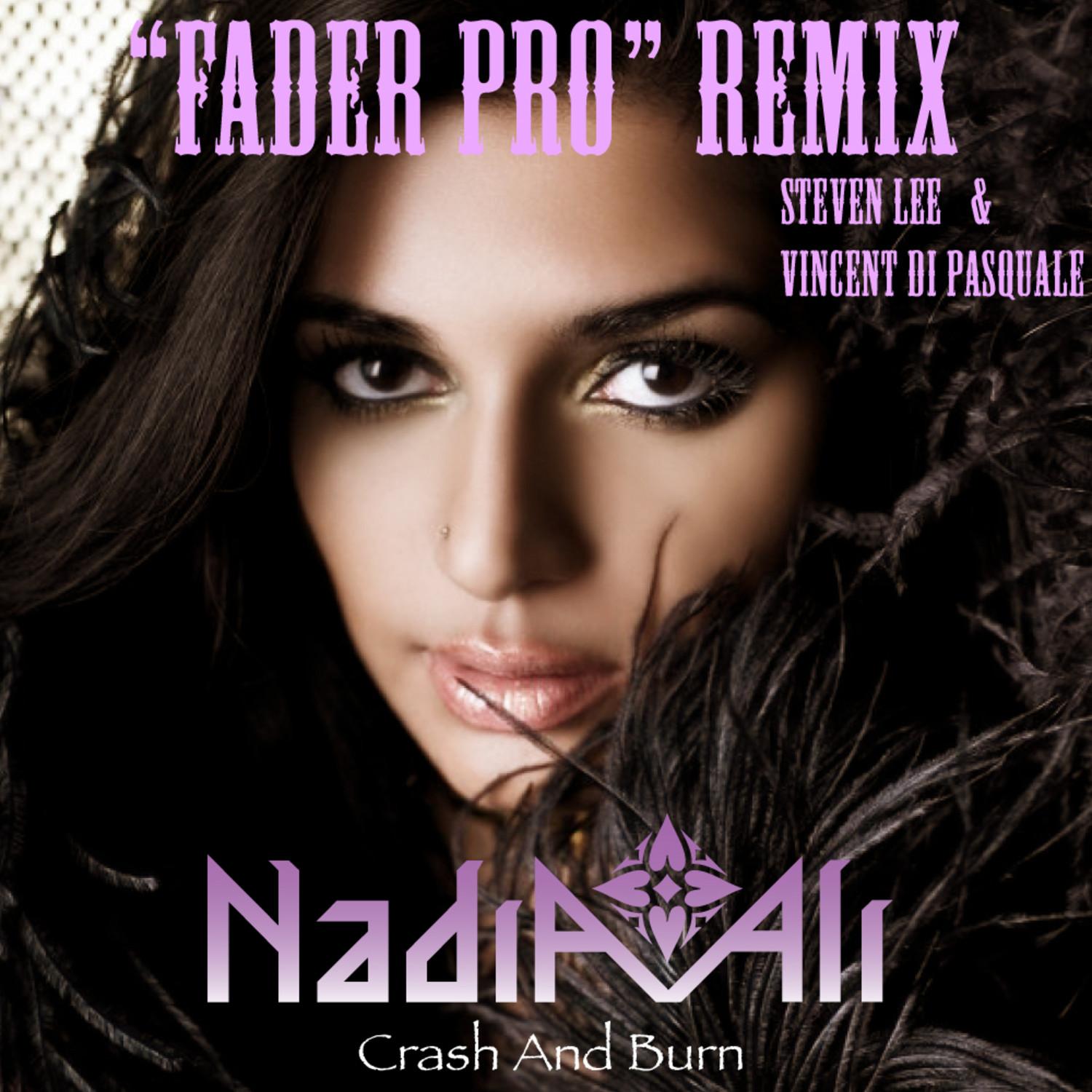 Crash And Burn (Steven Lee & Vincent di Pasquale "Fader Pro" Remix)