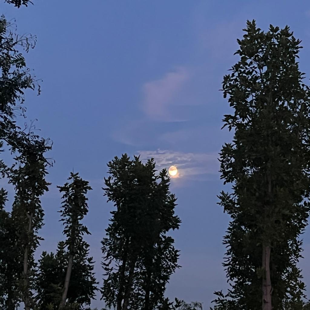 长夜里的欢愉