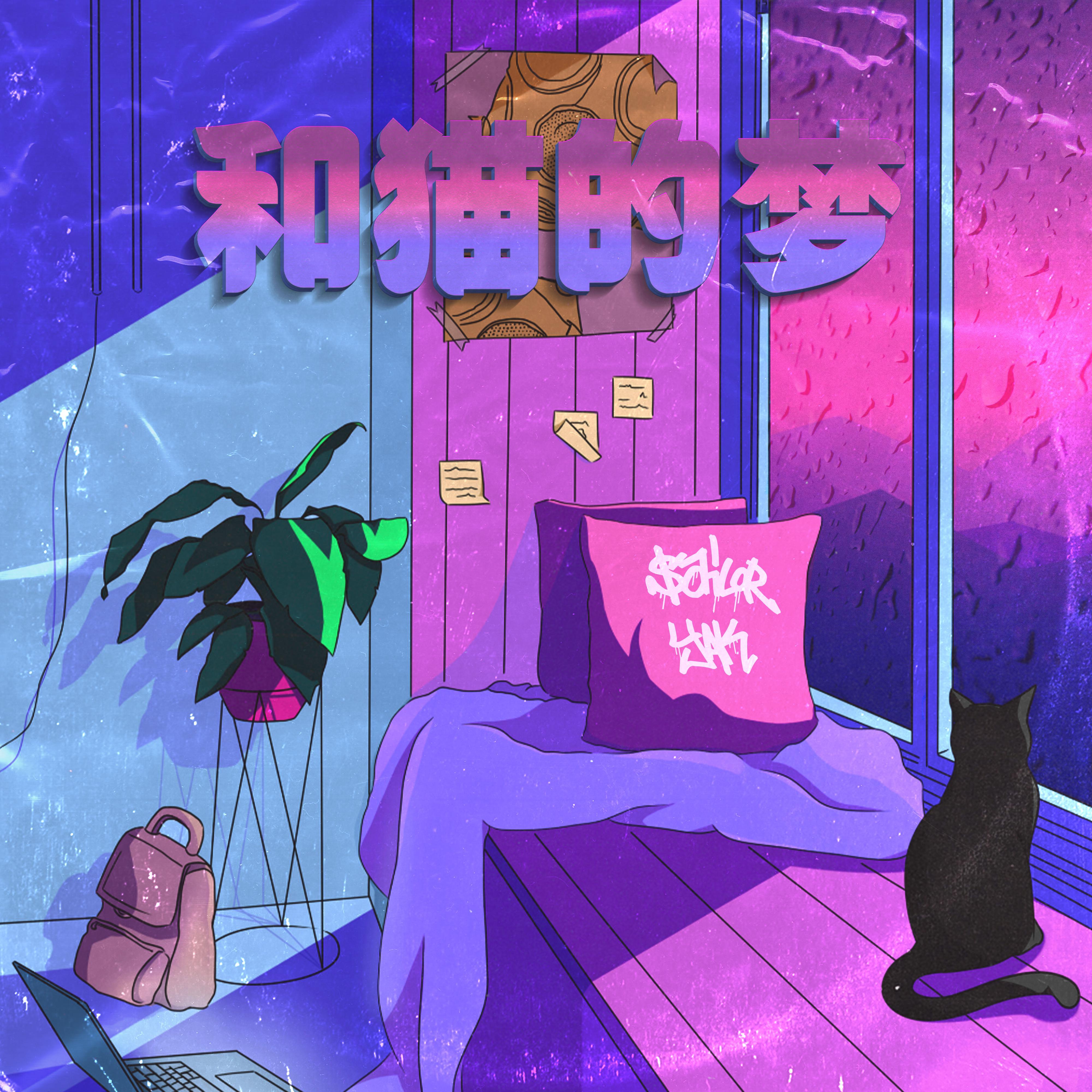 和猫的梦