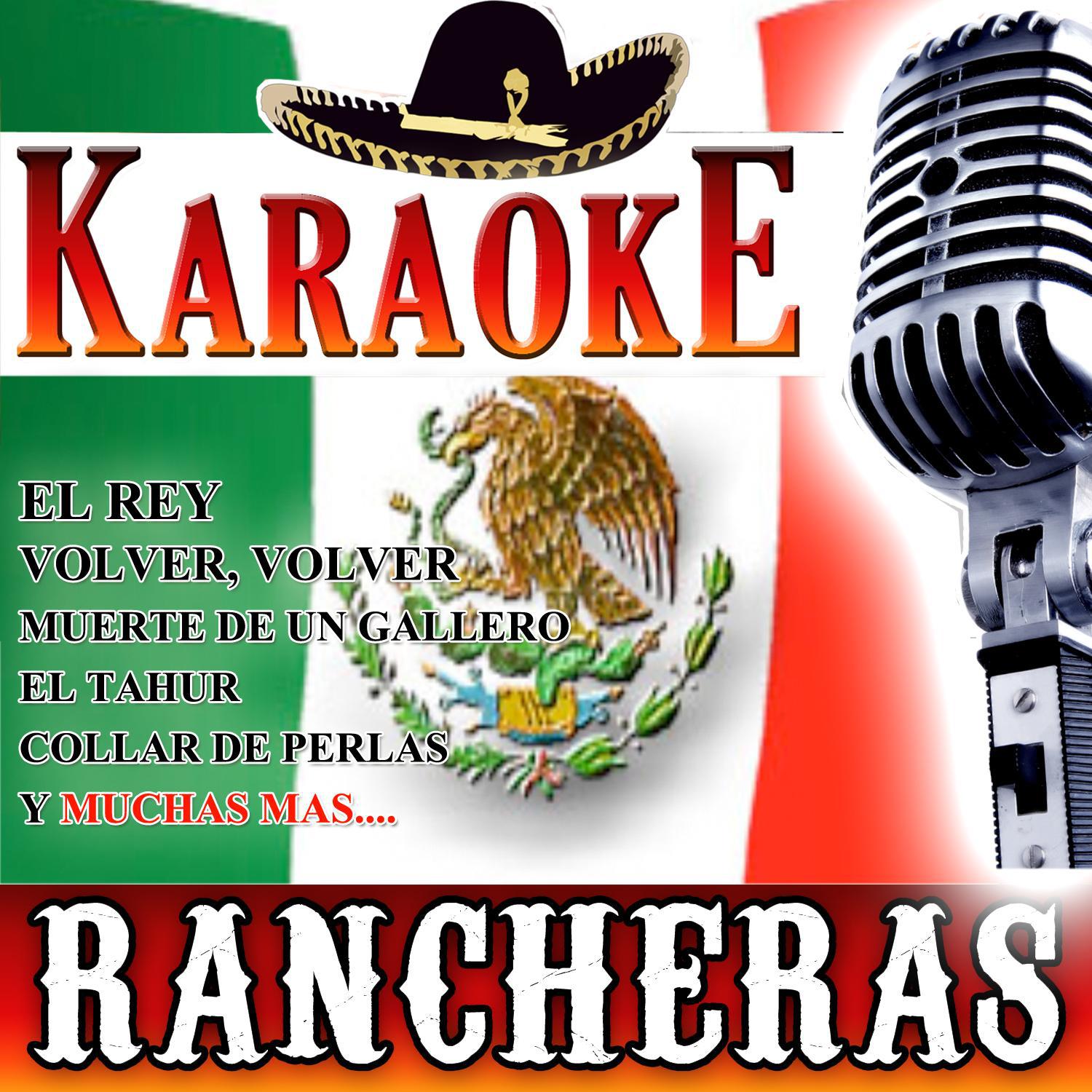 Karaoke Rancheras专辑