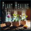 Plant Music - Background Focus Music for Plants