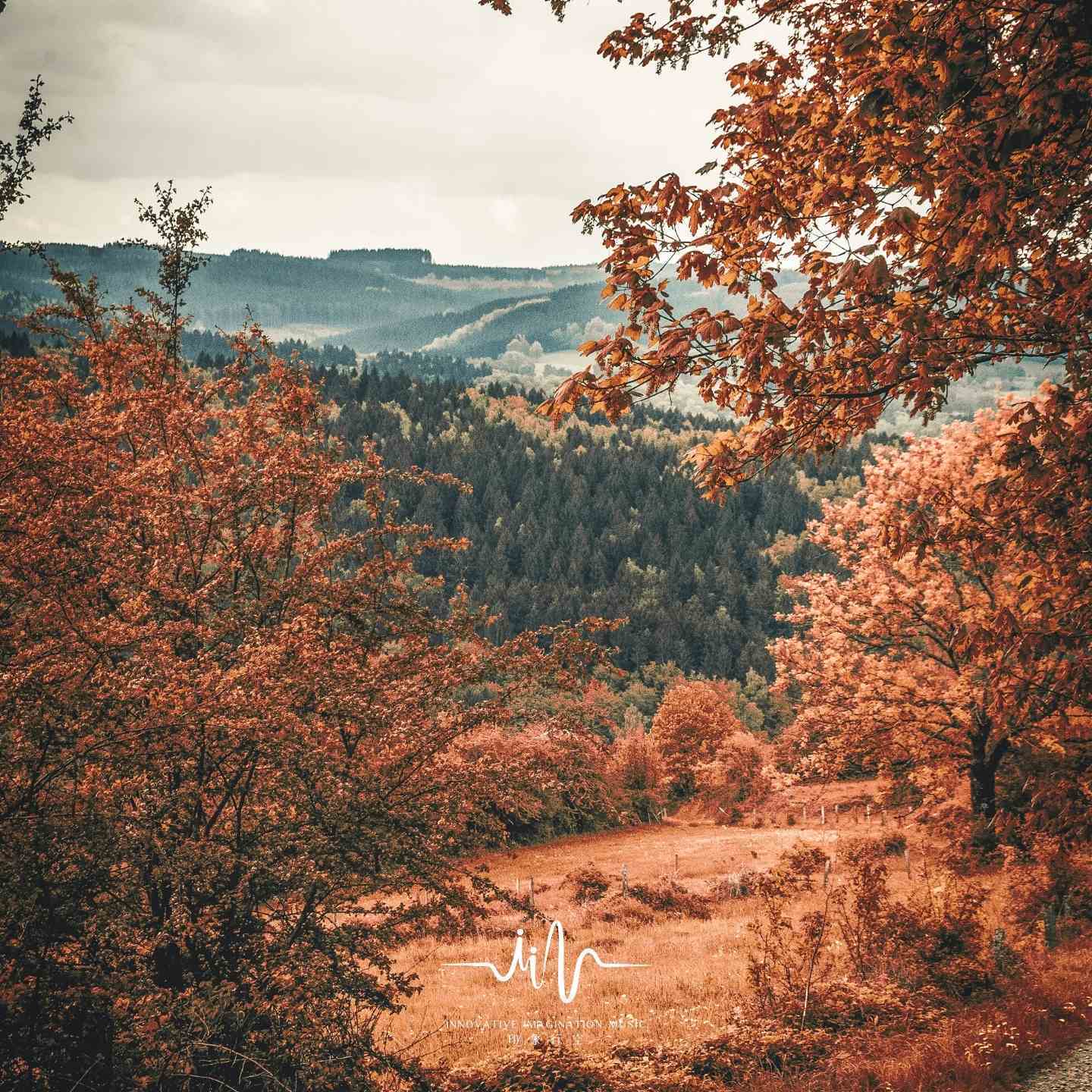 清落 (内观静心)