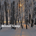 Winter Sleep