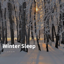 Winter Sleep专辑