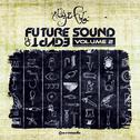 Future Sound Of Egypt, Vol. 2 (Mixed by Aly & Fila)