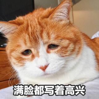 「这么巧，今天你也失恋？」