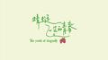 蜻蜓飞过的青春专辑