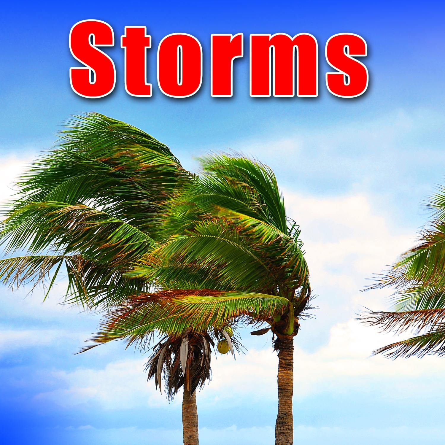 Howling Hurricane Wind Gusts with Low Sub Frequencies