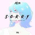 SORRY（Ellivs Remix）专辑