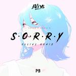 SORRY（Ellivs Remix）专辑