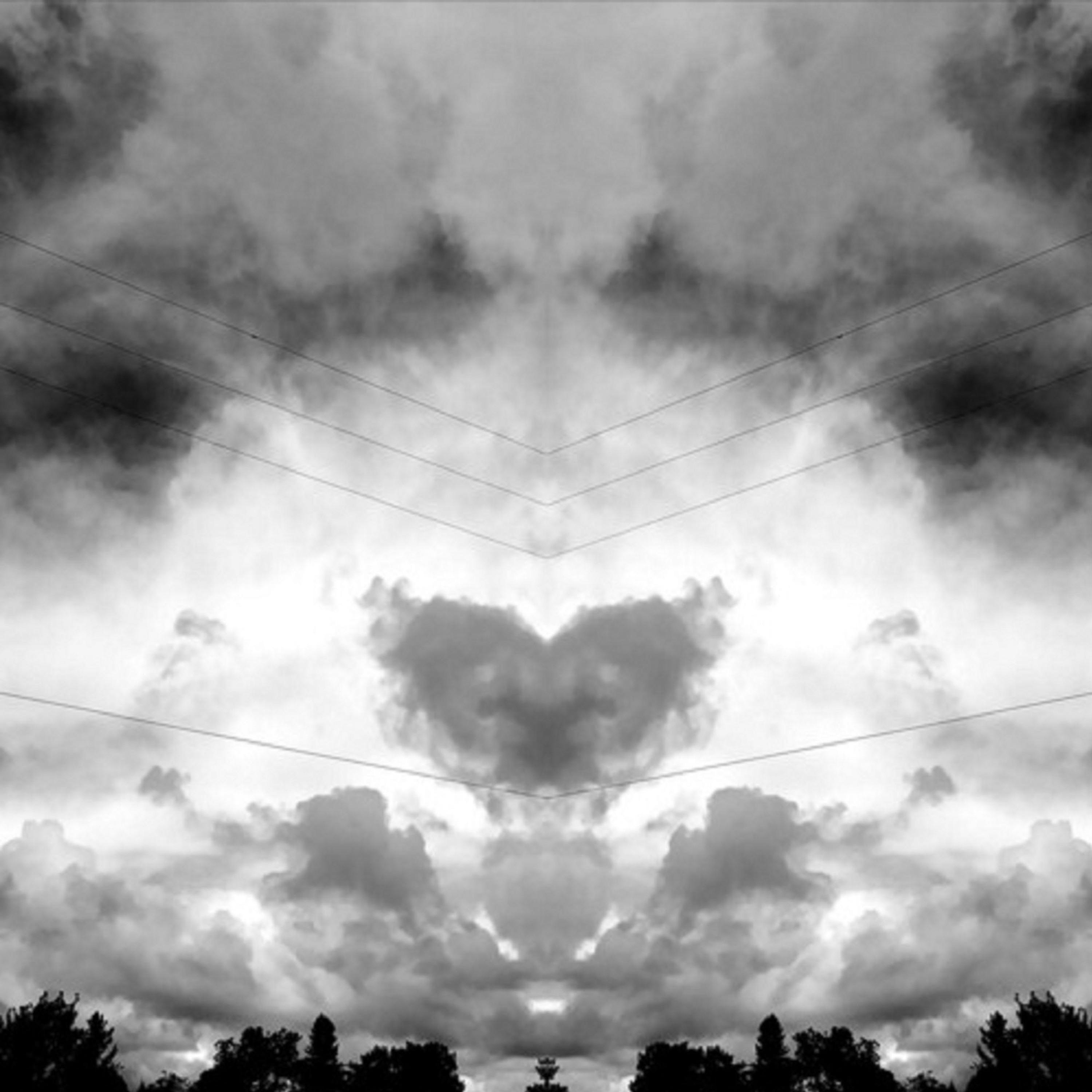 TwshORGAn-Morning2