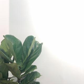 你们的歌单喽～