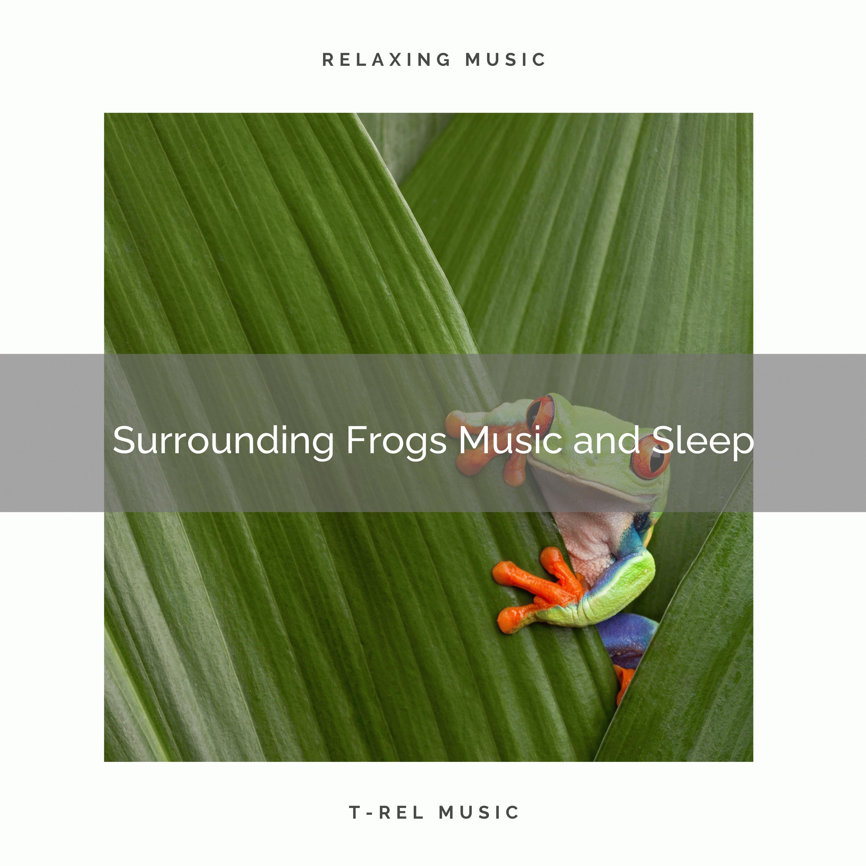 Stereo Outdoor Sampling - Variety of Frogs Music and Perfect Sleep