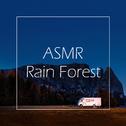 听见大自然雨林 (ASMR大脑按摩)专辑